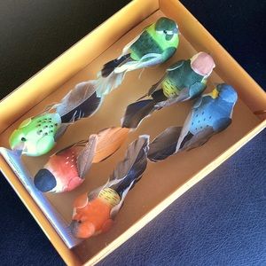 6 Clip-On Bird Ornaments Feather Tail Glitter Wings